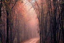 东家环境危急，将士奋战，挽救一线生机